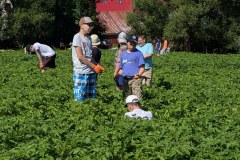 PXL_20260624_074009904