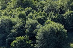 PXL_20260624_081104369