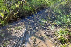 20230603_090807_resize_resize