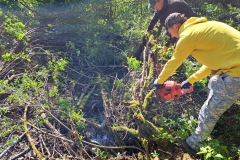 20230603_092135_resize_resize