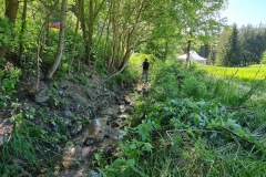 20230603_092931_resize_resize