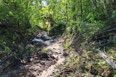 20230603_095809_resize_resize