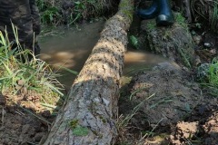 20230603_100753_resize_resize