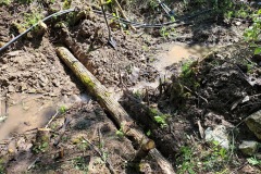 20230603_101626_resize_resize