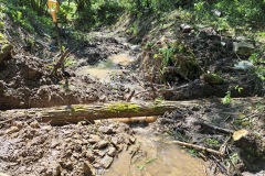 20230603_101648_resize_resize