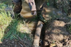 20230603_102811_resize_resize