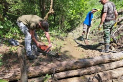 20230603_103032_resize_resize