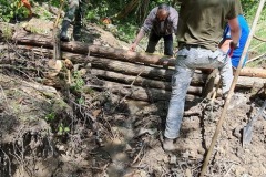 20230603_104602_resize_resize