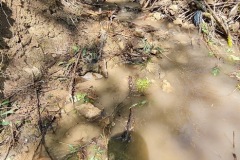 20230603_104626_resize_resize