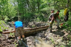 20230603_104841_resize_resize