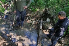 20230603_111624_resize_resize