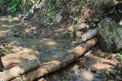 20230603_111642_resize_resize