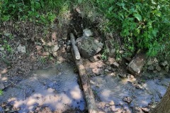 20230603_111658_resize_resize