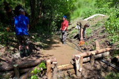 20230603_113446_resize_resize