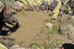 20230603_121907_resize_resize