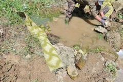 20230603_122130_resize_resize