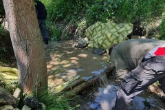 20230603_122610_resize_resize