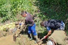 20230603_123559_resize_resize