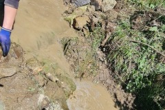 20230603_123953_resize_resize