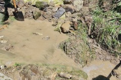 20230603_124027_resize_resize