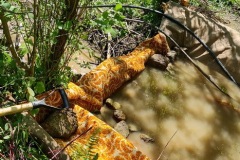 20230603_130251_resize_resize