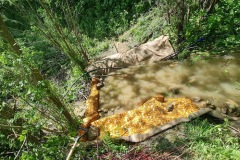 20230603_130257_resize_resize