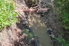 20230603_130402_resize_resize