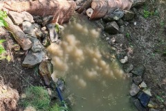 20230603_130406_resize_resize