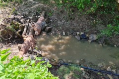 20230603_130414_resize_resize