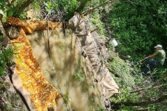 20230603_131411_resize_resize