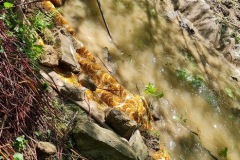 20230603_131921_resize_resize