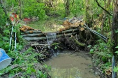 20230603_161114_resize_resize