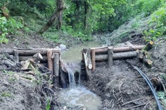 20230603_174530_resize_resize