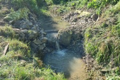 20230603_175341_resize_resize