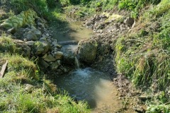 20230603_175343_resize_resize