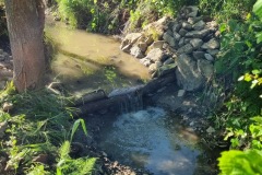 20230603_175421_resize_resize