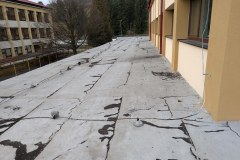 PXL_20251210_115012988