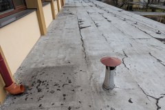 PXL_20251210_115203523