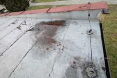 PXL_20251210_115251504