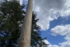 2021-05-01-21.45.26_resize