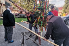 IMG_20220430_181233_resize