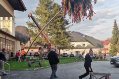 IMG_20220430_182449_resize