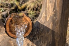 PXL_20260417_063822841