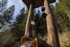 PXL_20260417_063857491