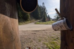 PXL_20260417_063916705