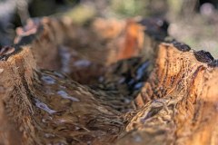 PXL_20260417_063937798