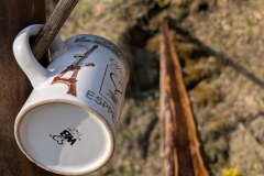 PXL_20260417_064343274.PORTRAIT