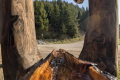 PXL_20260417_064437488