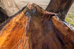 PXL_20260417_064451242.LONG_EXPOSURE-01