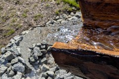 PXL_20260417_064638917